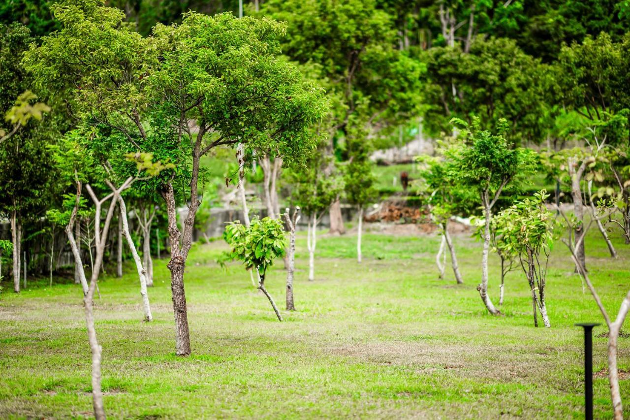 Dream Field Appartement Luye Buitenkant foto