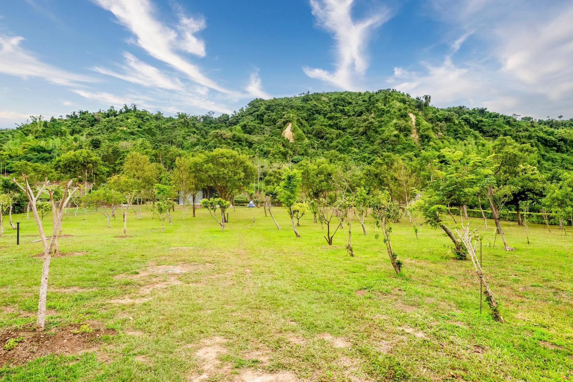 Dream Field Appartement Luye Buitenkant foto