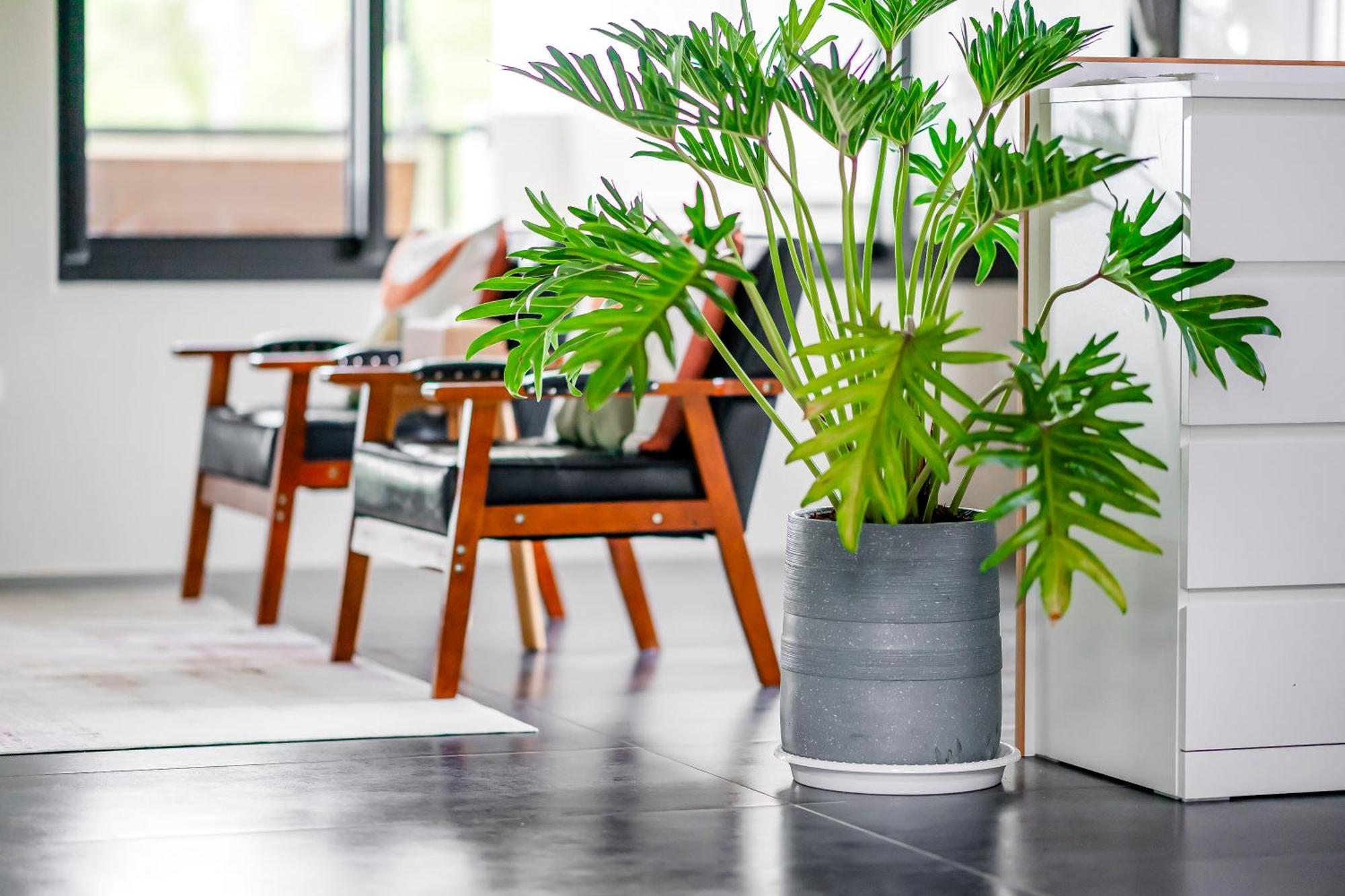 Dream Field Appartement Luye Kamer foto